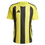 Adidas Striped 24 JSY T-shirt férfi Póló IW2146