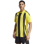 Adidas Striped 24 JSY T-shirt férfi Póló IW2146