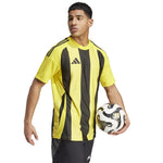 Adidas Striped 24 JSY T-shirt férfi Póló IW2146