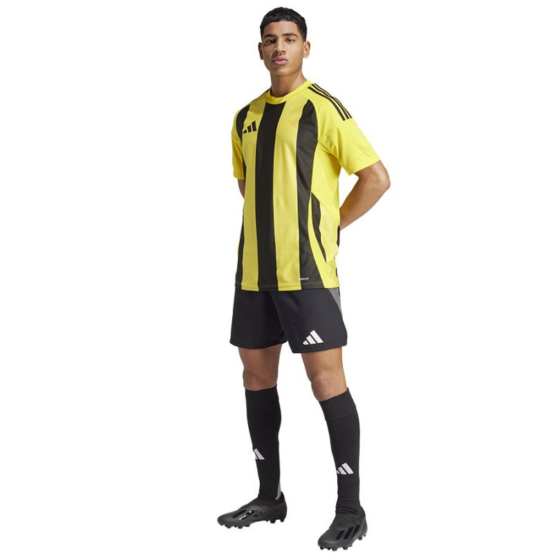 Adidas Striped 24 JSY T-shirt férfi Póló IW2146