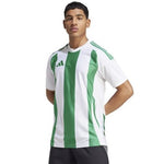 Adidas Striped 24 JSY T-shirt férfi Póló IW2148