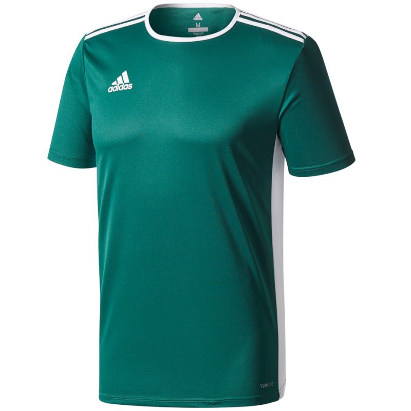 adidas T-shirt adidas Entrada 18 Jr. Póló gyerek CD8358/CE9563