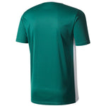 adidas T-shirt adidas Entrada 18 Jr. Póló gyerek CD8358/CE9563