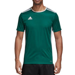 adidas T-shirt adidas Entrada 18 Jr. Póló gyerek CD8358/CE9563