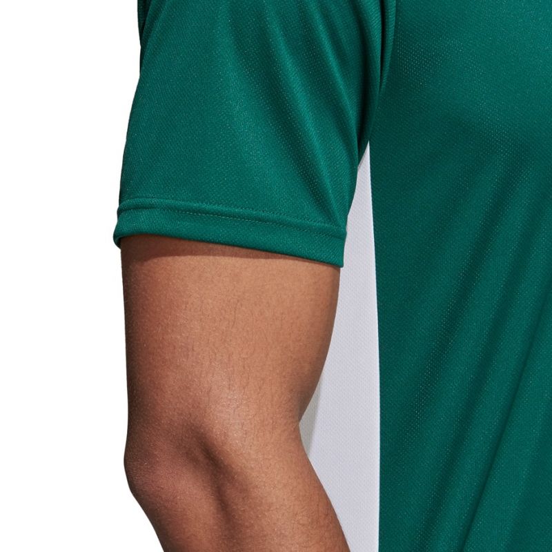 adidas T-shirt adidas Entrada 18 Jr. Póló gyerek CD8358/CE9563