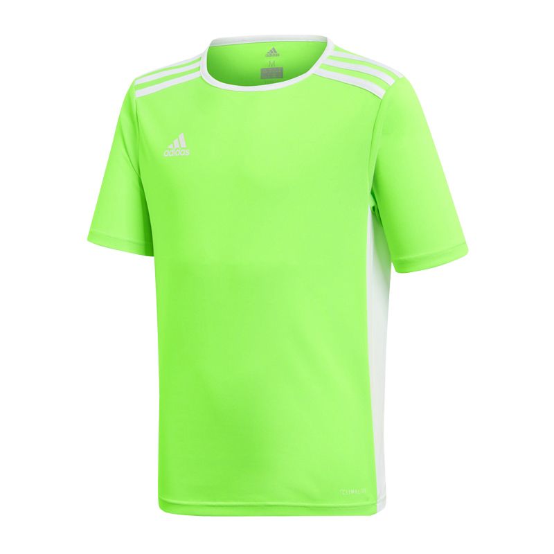 adidas T-shirt adidas Entrada 18 Jr Póló gyerek CE9755
