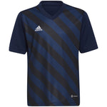 adidas T-shirt adidas Entrada 22 Graphic Jersey Jr Póló gyerek HF0122
