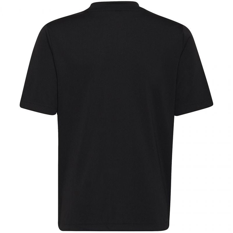 adidas T-shirt adidas Entrada 22 Graphic Jersey Jr Póló gyerek HF0123