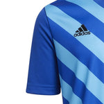 adidas T-shirt adidas Entrada 22 Graphic Jersey Jr Póló gyerek HF0130