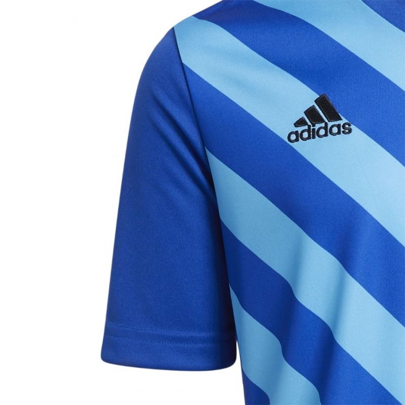 adidas T-shirt adidas Entrada 22 Graphic Jersey Jr Póló gyerek HF0130