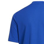 adidas T-shirt adidas Entrada 22 Graphic Jersey Jr Póló gyerek HF0130