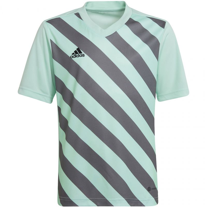 adidas T-shirt adidas Entrada 22 Graphic Jersey Jr Ruházat póló gyerek HF0127