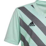 adidas T-shirt adidas Entrada 22 Graphic Jersey Jr Ruházat póló gyerek HF0127