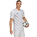 adidas T-shirt adidas Entrada 22 Graphic Jersey Ruházat férfi póló HF0129