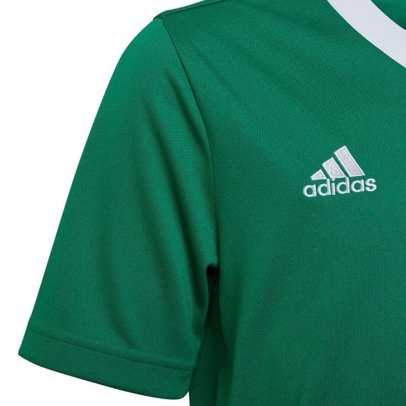 adidas T-shirt adidas Entrada 22 Jersey Jr Ruházat póló gyerek HI2126