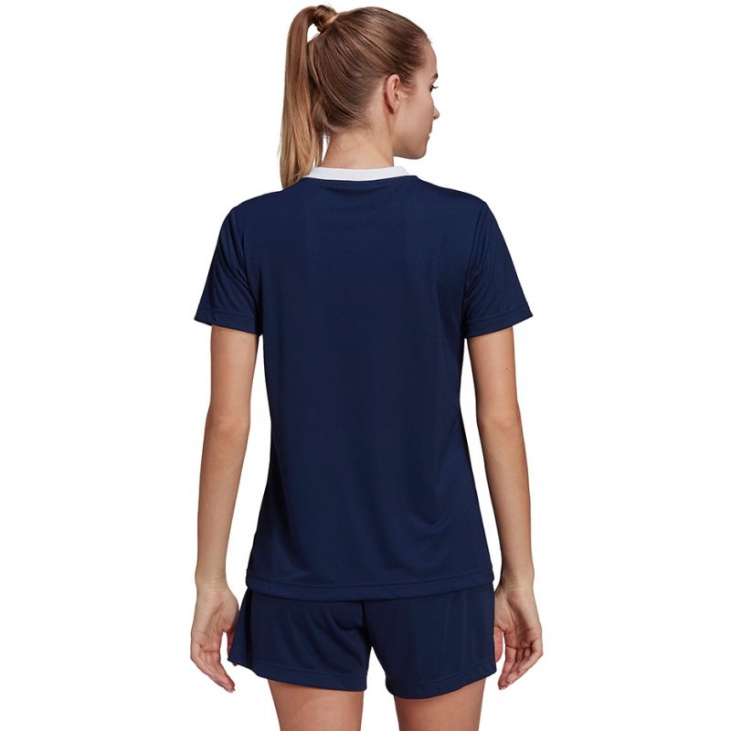Kép alternatív szöveg