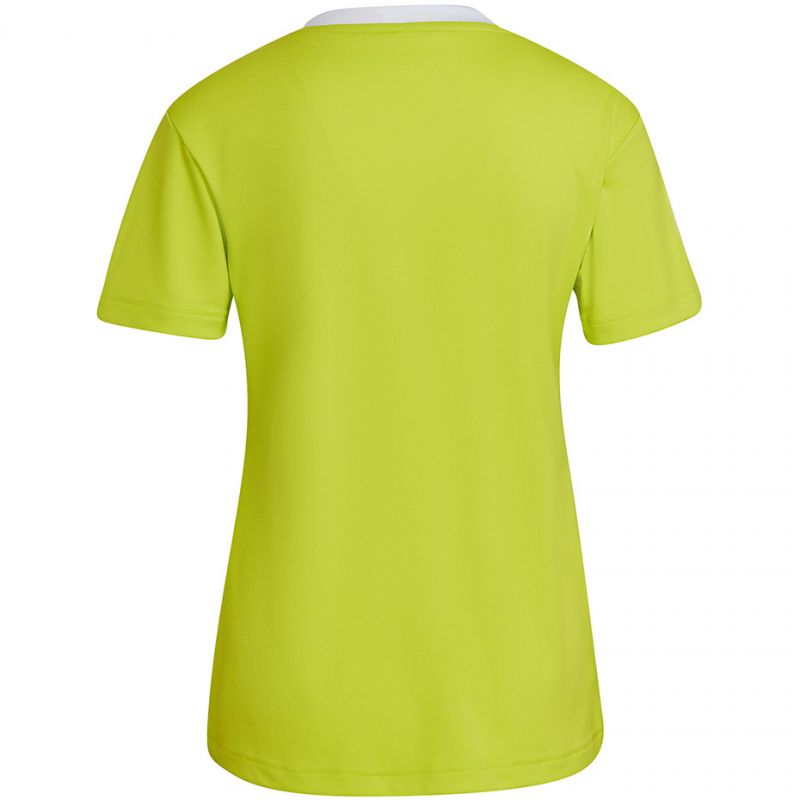 adidas T-shirt adidas Entrada 22 Jsy W női Póló HC5080