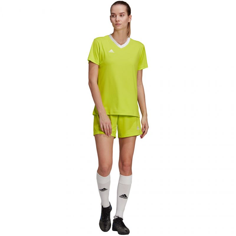 adidas T-shirt adidas Entrada 22 Jsy W női Póló HC5080