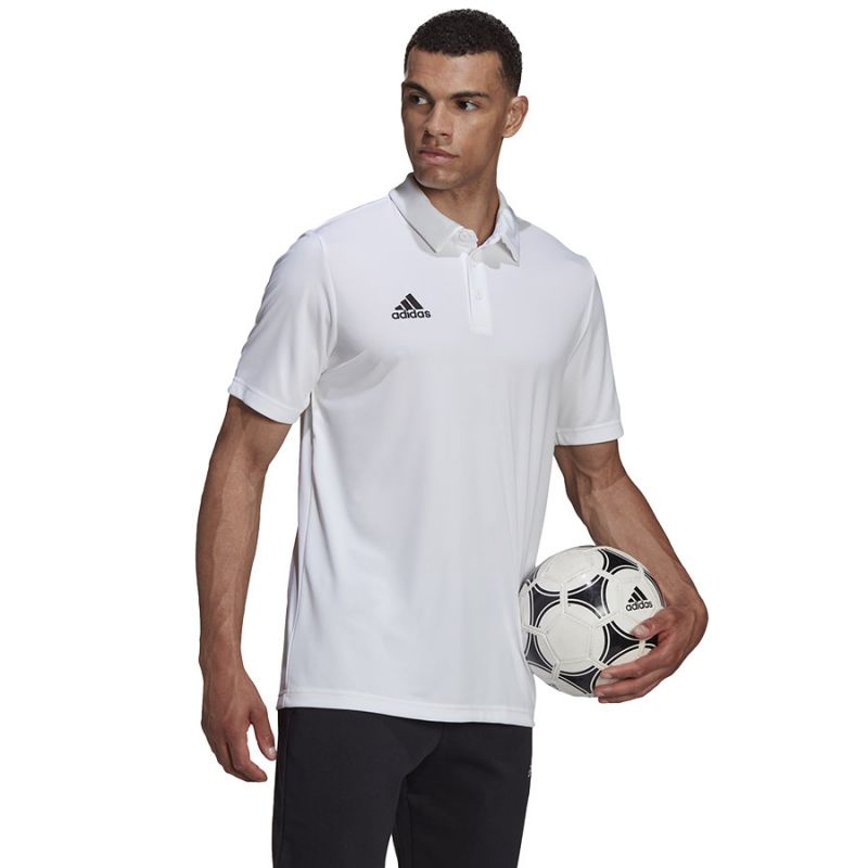 adidas T-shirt adidas Entrada 22 Polo Ruházat póló férfi HC5067