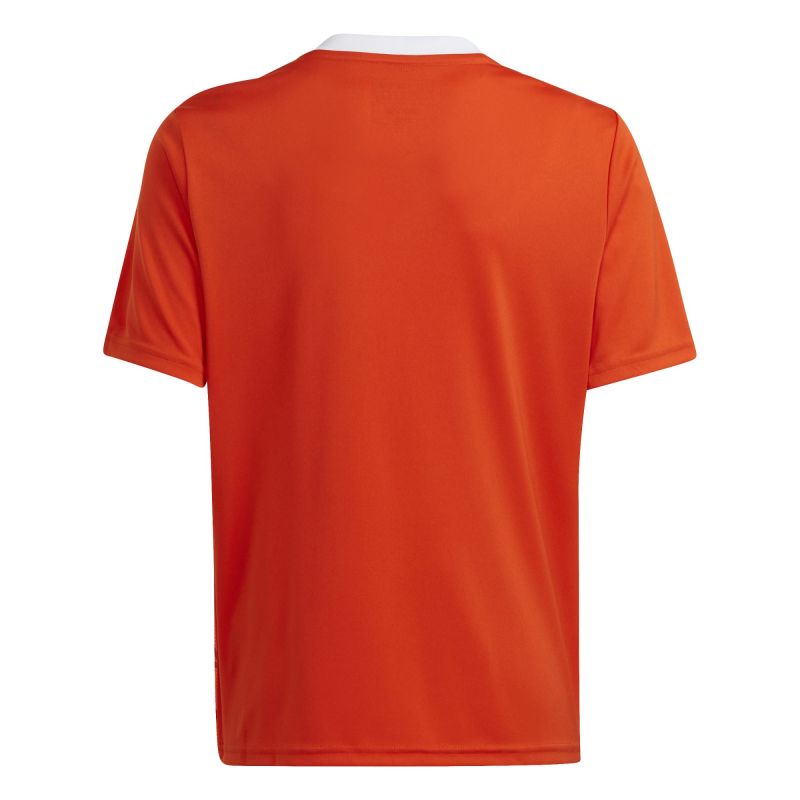 Adidas Team Icon 23 Jr T-shirt IC1254 - Sportmania.hu