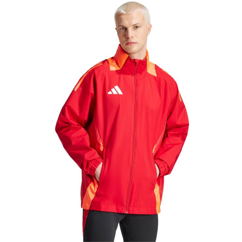 Kép alternatív szöveg