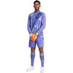 adidas Tiro 24 M shorts férfi rövidnadrág IT2413