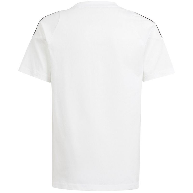 Kép alternatív szöveg
