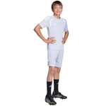 Adidas Tiro 26 League Training szürke gyerek rövidnadrág JY7149