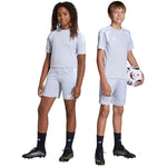 Adidas Tiro 26 League Training szürke gyerek rövidnadrág JY7149