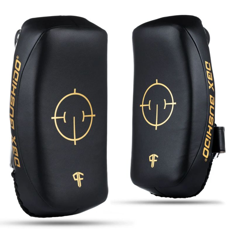 DBX Bushido PAO Thai Shields pair | ProFighter | arany