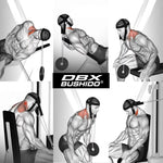 DBX Bushido Pro Neck Harness