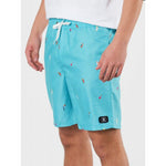 Dc All Season Volley 14.5 Youth Shorts gyerek SEDBJV03012-BJM0