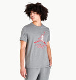 Jordan Jumpman NBA Tee szürke férfi póló