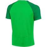 Nike DF Adacemy Pro SS Top KM T-shirt Ruházat férfi póló DH9225329