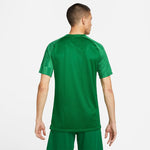 Nike Dri-Fit Academy SS T-shirt Ruházat férfi Póló DH8031302