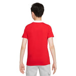 Nike Dri-FIT Park Jr. póló Shirt gyerek galléros póló CW6935-657