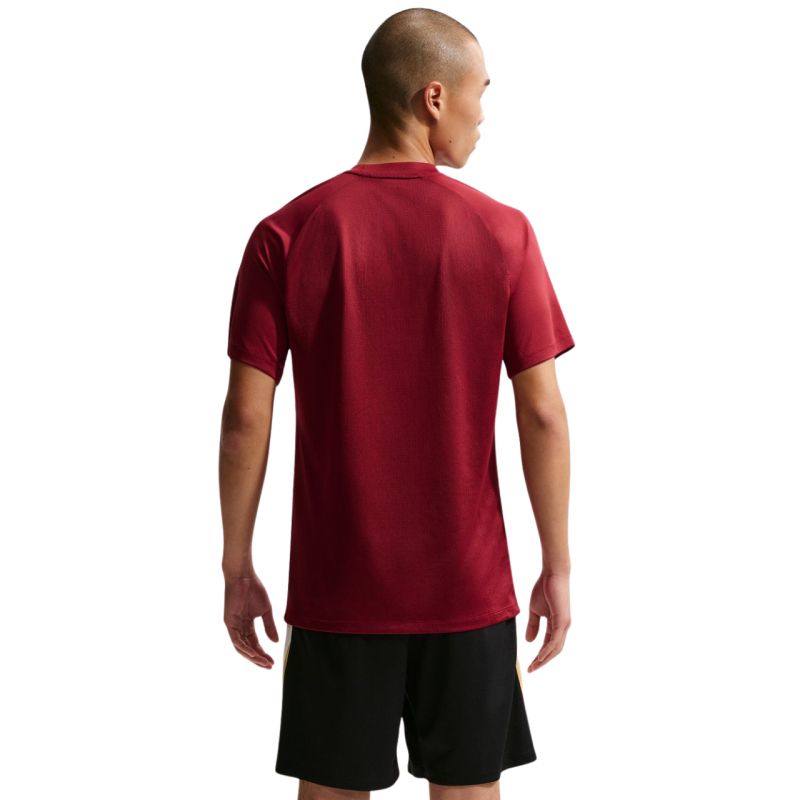 Nike Dri-Fit Park VIII Men's T-Shirt bordó férfi póló HV8173677