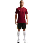 Nike Dri-Fit Park VIII Men's T-Shirt bordó férfi póló HV8173677