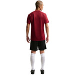 Nike Dri-Fit Park VIII Men's T-Shirt bordó férfi póló HV8173677