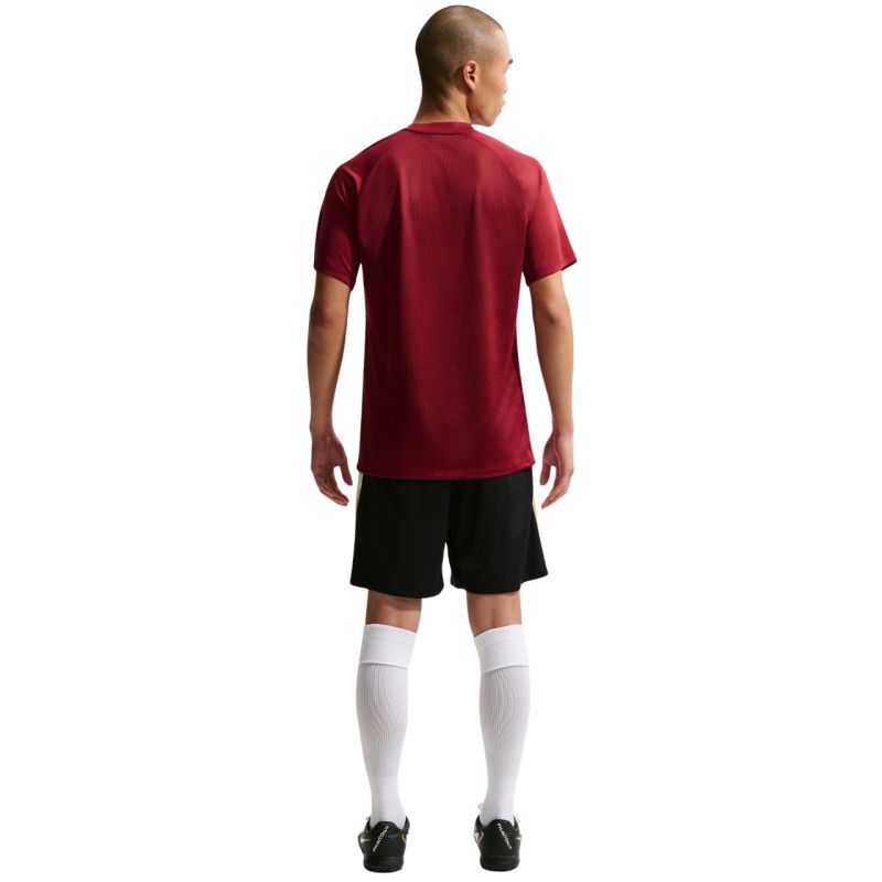 Nike Dri-Fit Park VIII Men's T-Shirt bordó férfi póló HV8173677