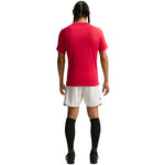 Nike Dri-Fit Park VIII Men's T-Shirt Red piros férfi póló HV8173657