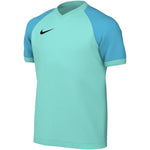 Nike Dri-FIT Trophy VI Kids' T-Shirt menta gyerek póló HV8158354