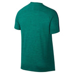 Nike Flex Strike Dry Top SS férfi 806702351