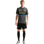 Nike Inter Milan Match Men’s Football 2026/27 férfi póló, szürke