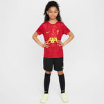 Nike Liverpool FC Academy Pro SS Top Jr FQ0013-688 póló - Sportmania.hu