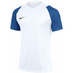 Men's Nike Dri-Fit Academy II T-shirt white and kék férfi póló HV8160103