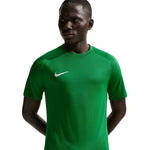 Men's Nike Dri-Fit Park VIII T-shirt green zöld férfi póló HV8173302