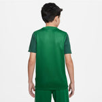 Nike Trophy V JSY Jr T-shirt Póló gyerek DR0942302