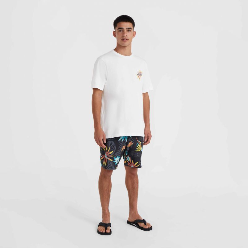 O'Neill Beach Graphic T-Shirt fehér férfi póló