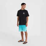 O'Neill Beach Graphic T-Shirt fekete férfi póló